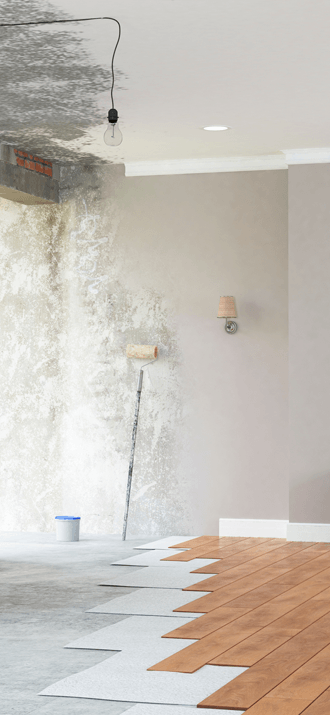 professional-painting